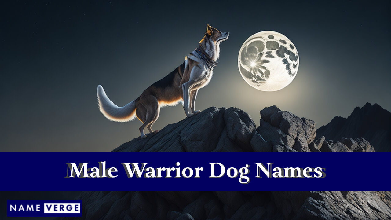 Male Warrior Dog Names