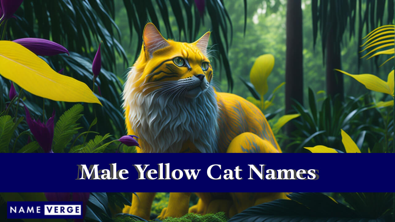 Male Yellow Cat Names