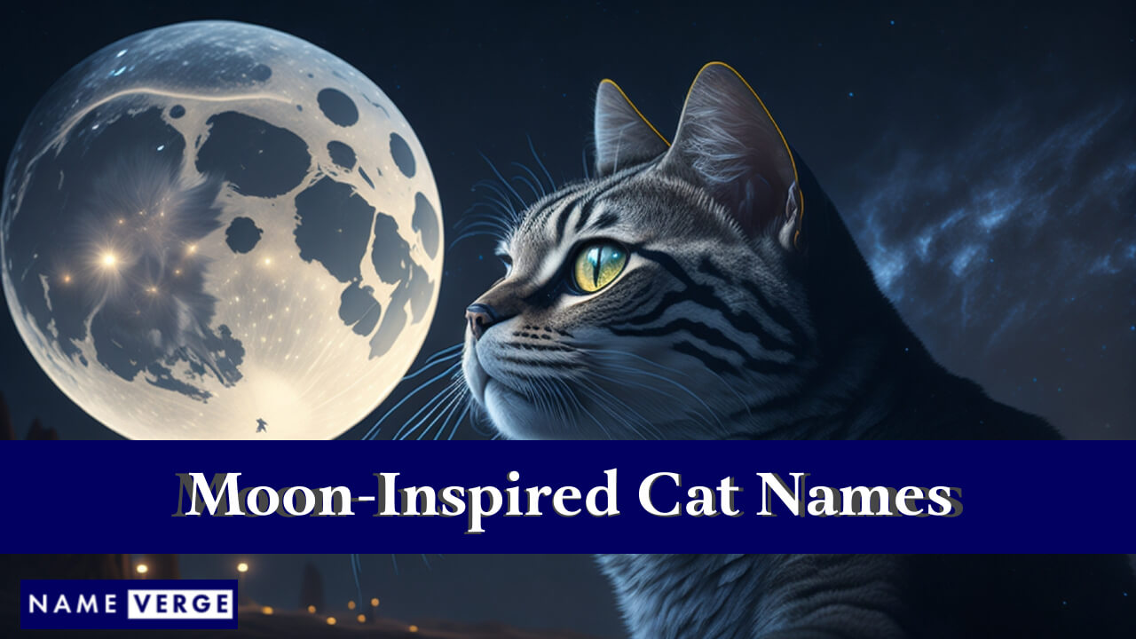 Moon-Inspired Cat Names