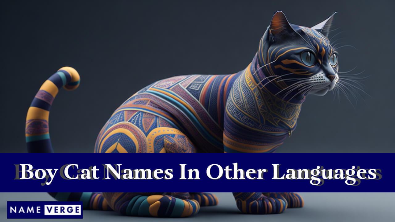 Boy Cat Names In Other Languages