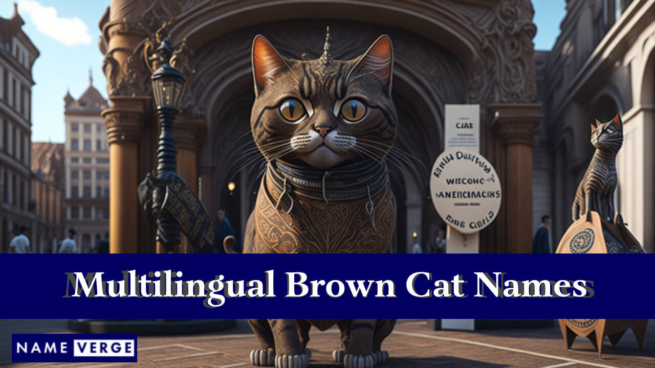 Brown Cat Names In Other Languages