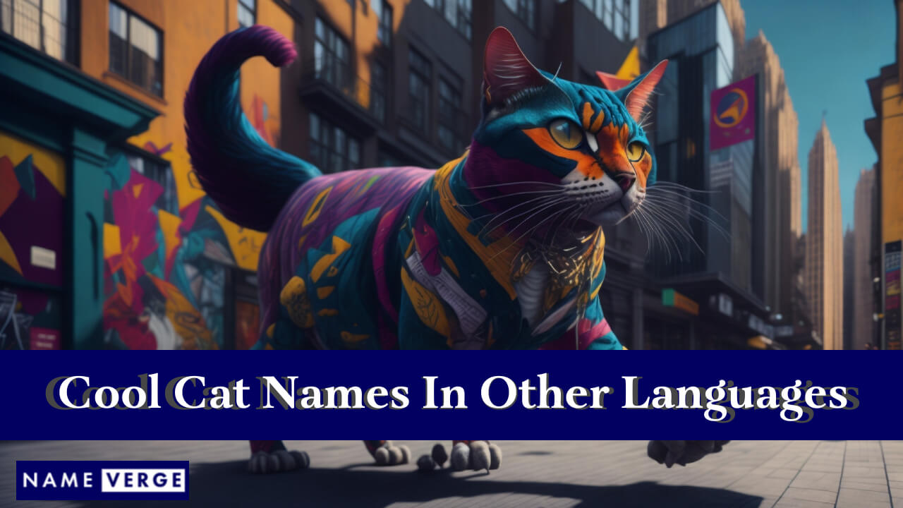 Cool Cat Names In Other Languages
