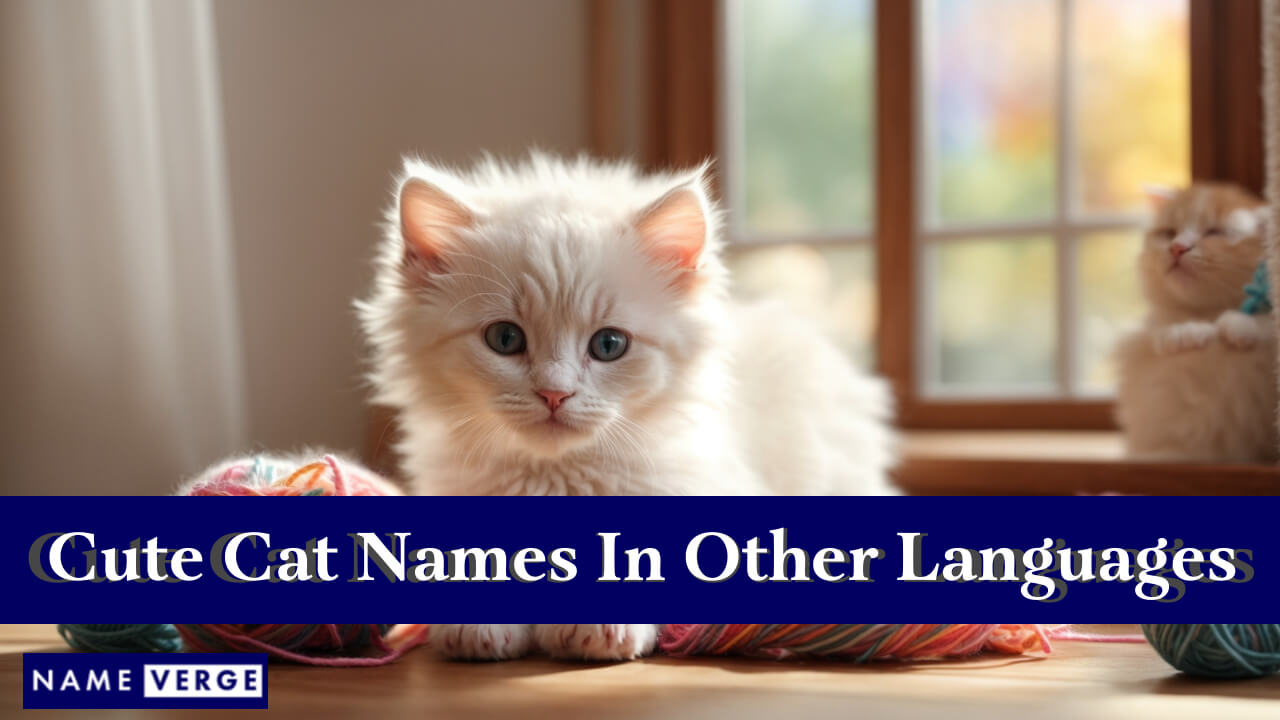 Cute Cat Names In Other Languages