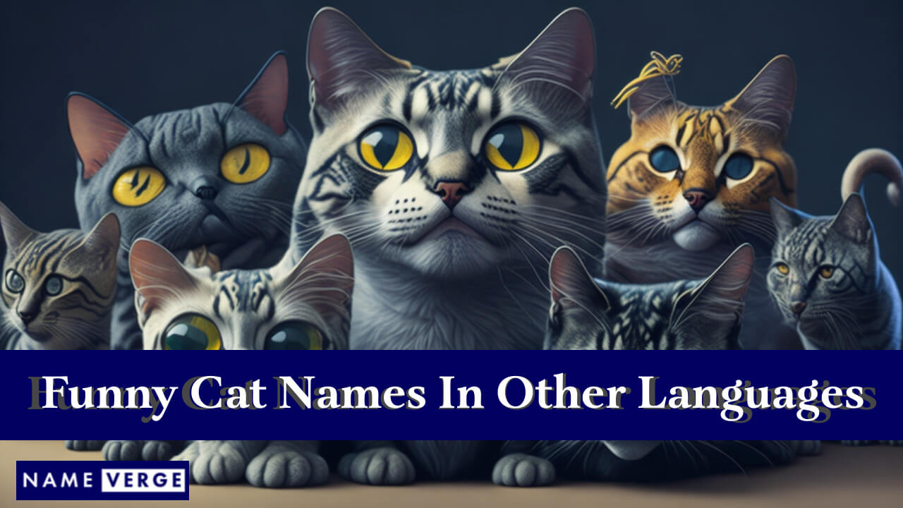 Funny Cat Names In Other Languages