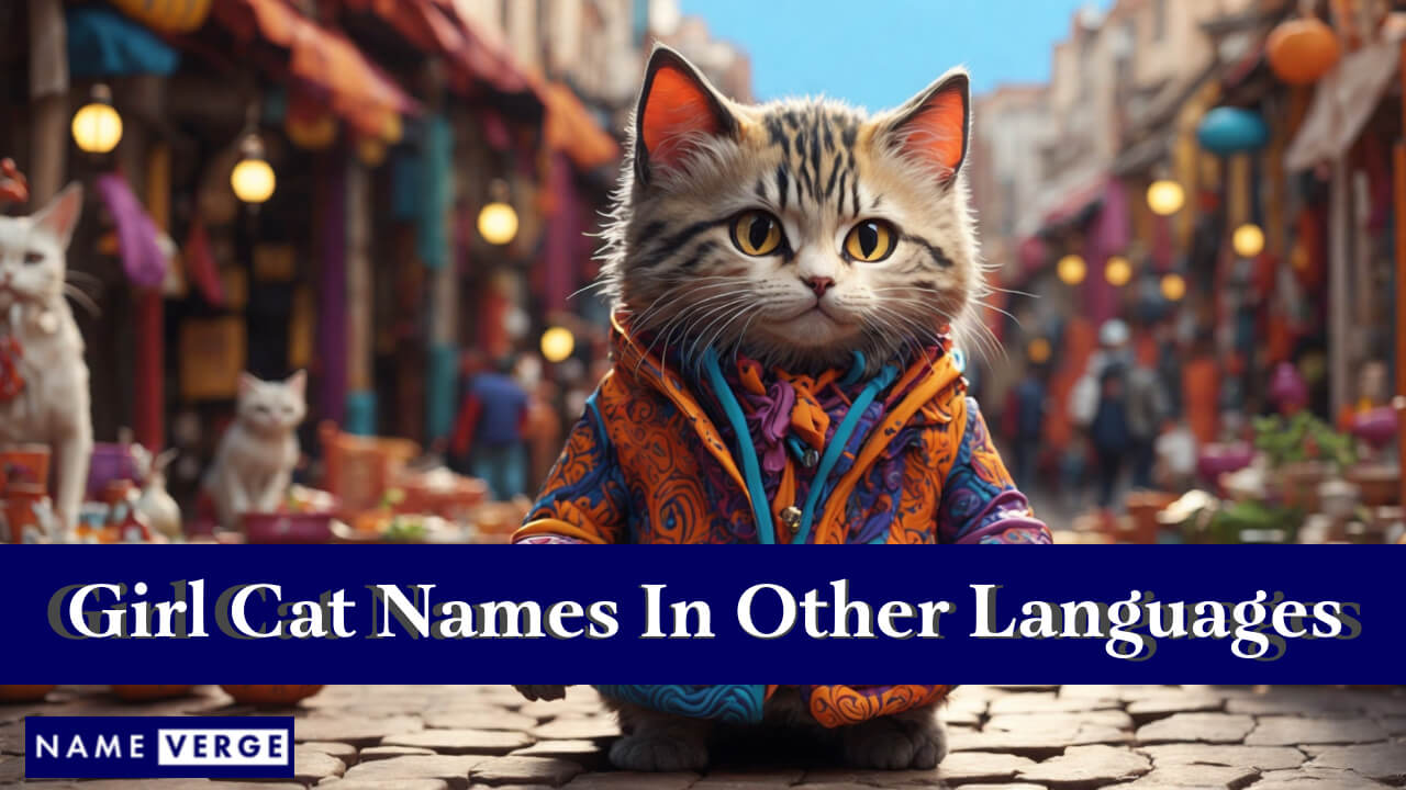 Girl Cat Names In Other Languages