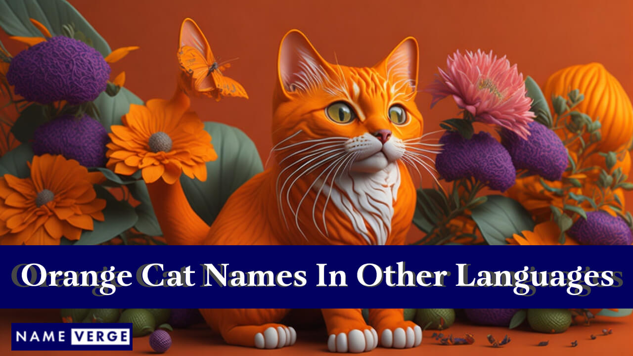 Orange Cat Names In Other Languages