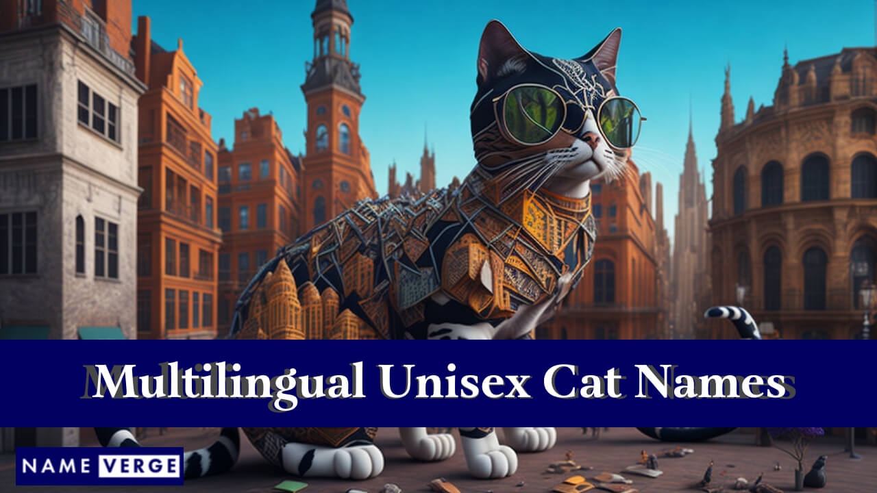 Unisex Cat Names In Other Languages