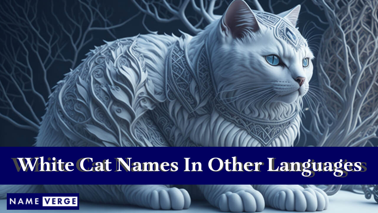 White Cat Names In Other Languages