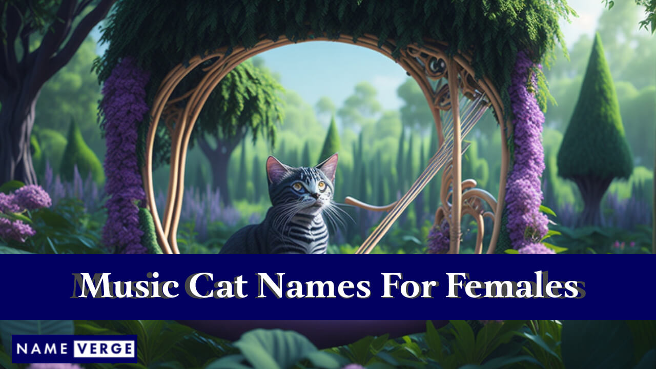 Music Cat Names For Females