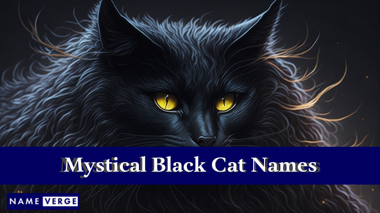 Mystical Black Cat Names