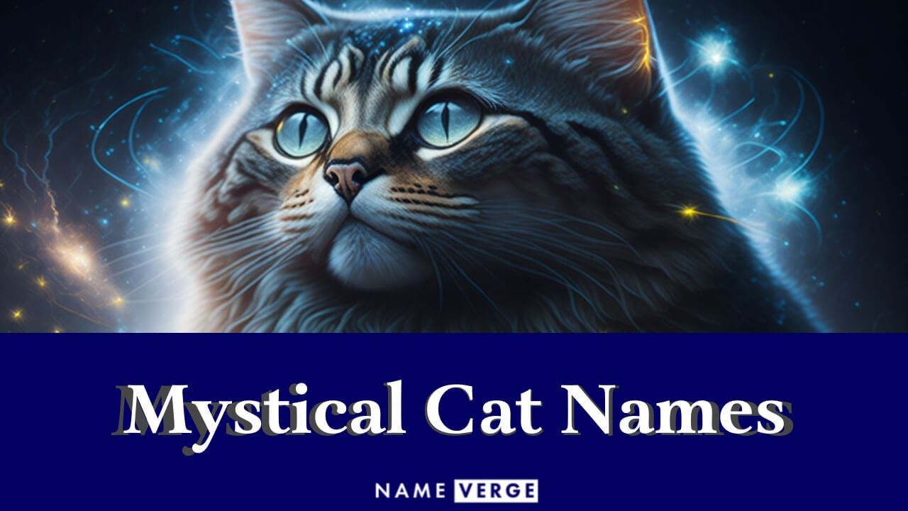 Mystical Cat Names: 323+ Magical Mystical Cat Names