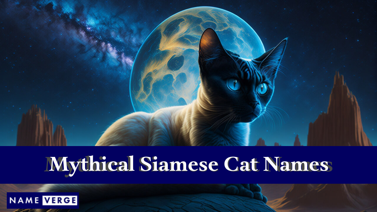 Mythical Siamese Cat Names