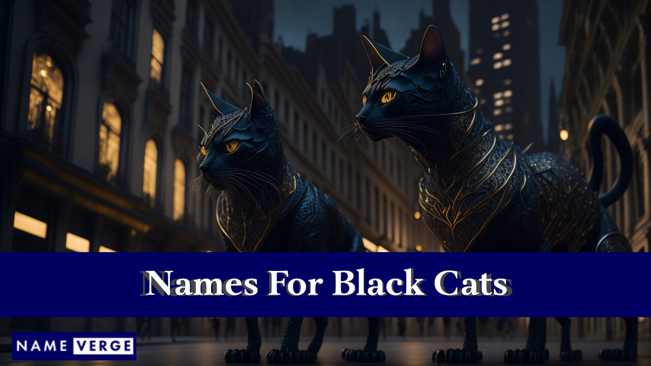 Names For Black Cats