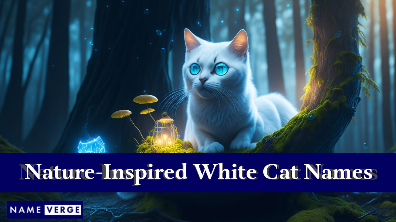 Nature-Inspired White Cat Names