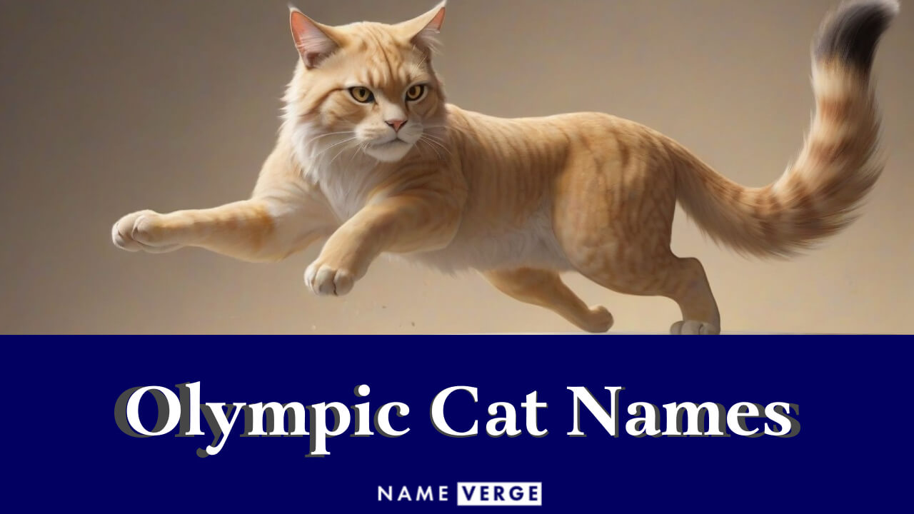 Olympic Cat Names: 292+ Famous Olympian-Inspired Names