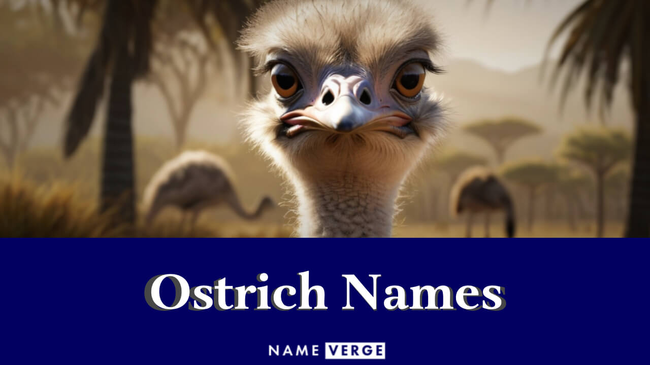 Ostrich Names: 515+ Funny Names For Your Big Cute Bird