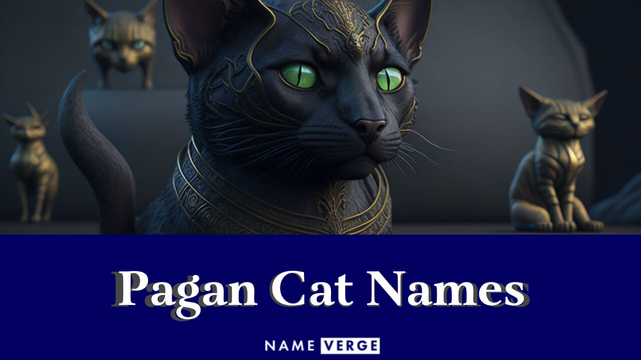 Pagan Cat Names: 232+ Best Pagan Names For Cats