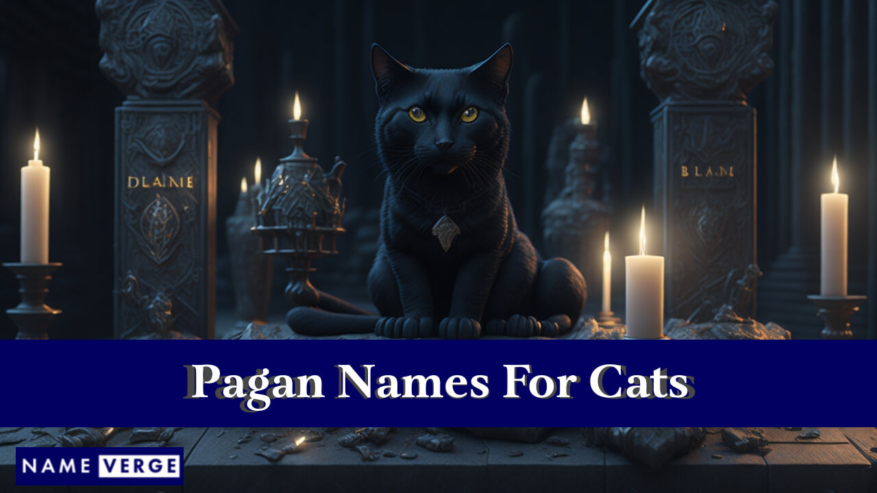Pagan Names For Cats