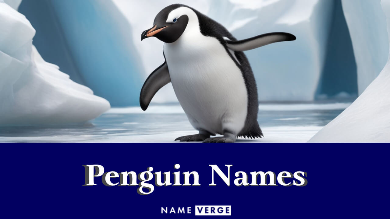 Penguin Names: 399+ Funny Names For Cute Arctic Birds
