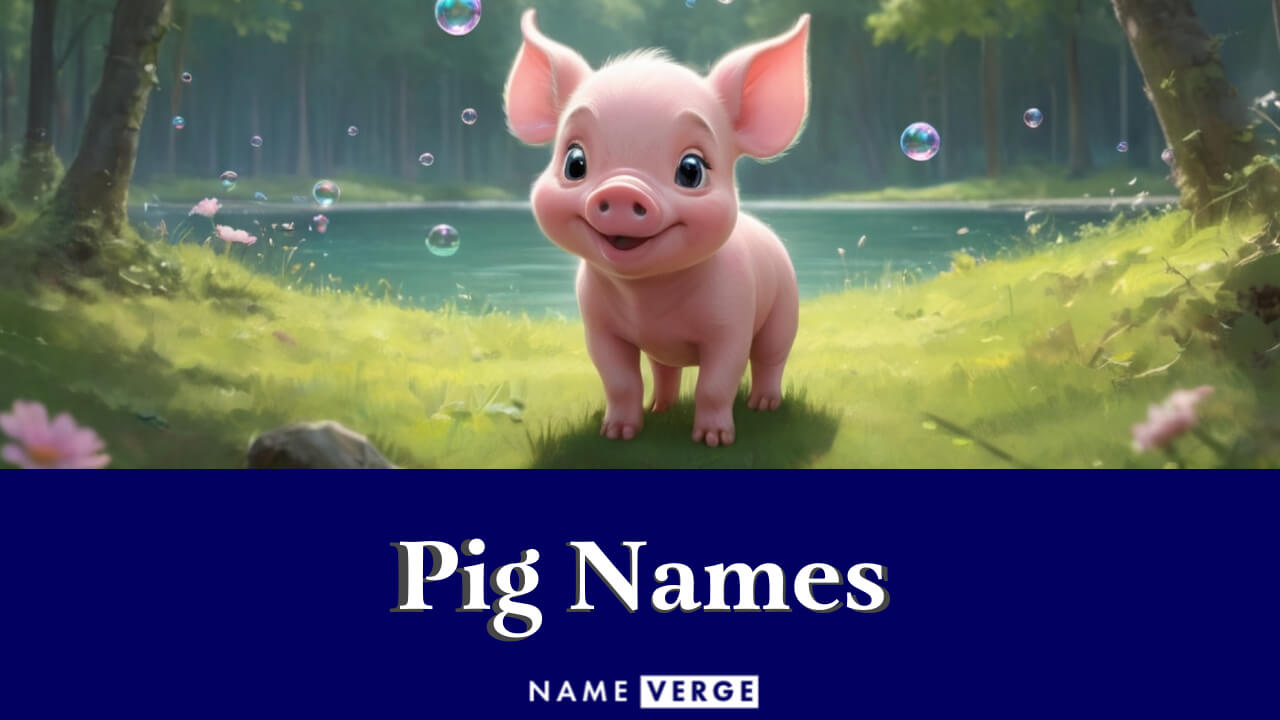 Pig Names: 525+ Funny Names For Your Cute Barnyard Pet