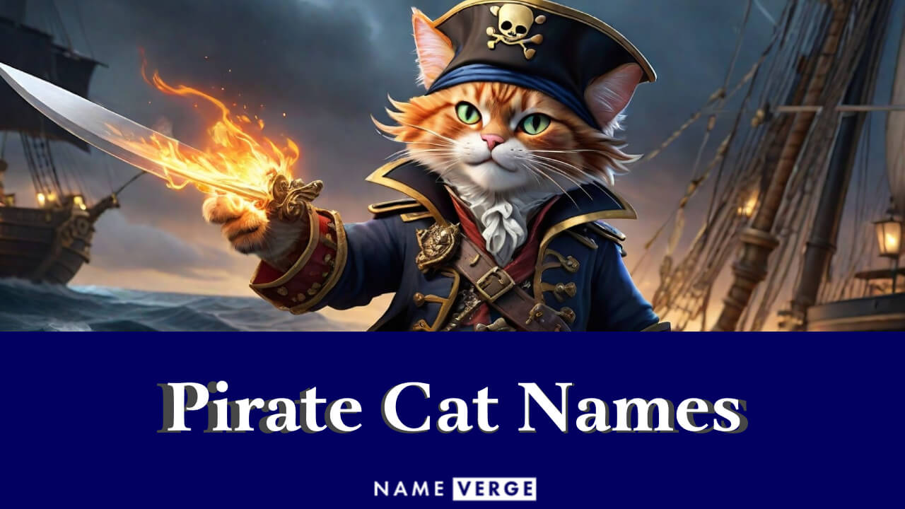 Pirate Cat Names: 747 Cool Names To Sail The Seven Seas