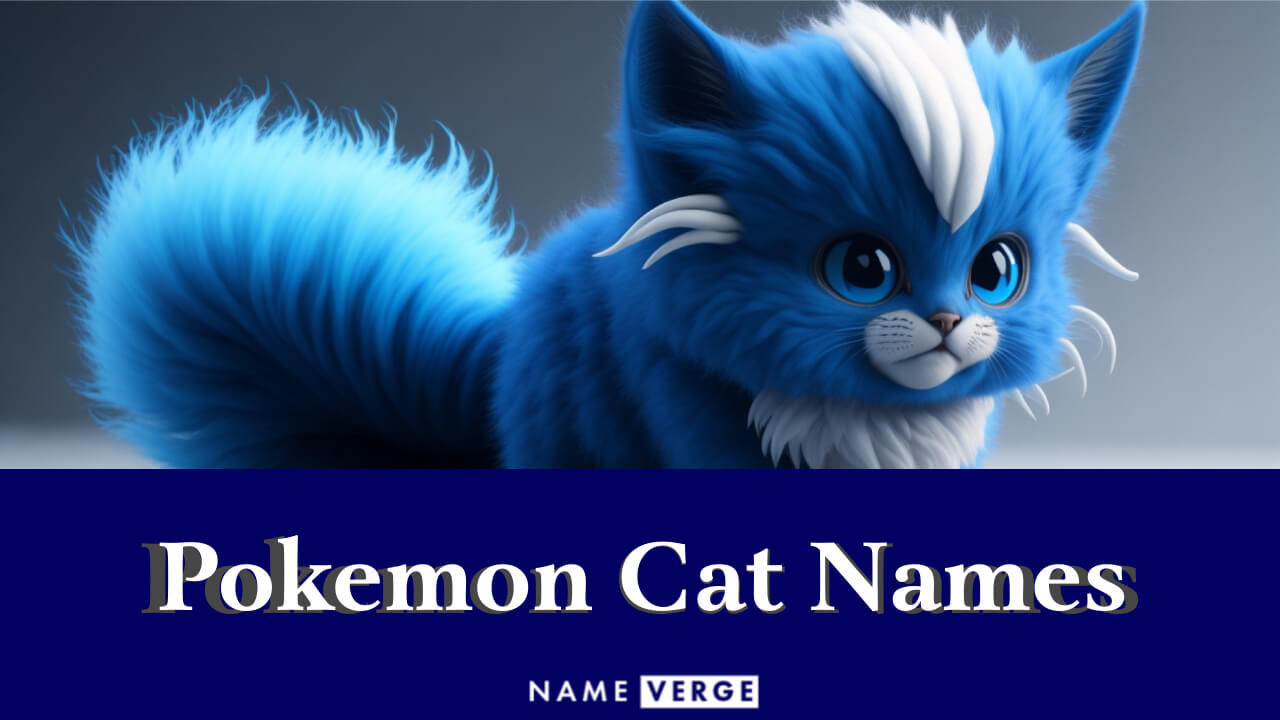 Pokemon Cat Names: 200 Cool Names For Your Star Cat
