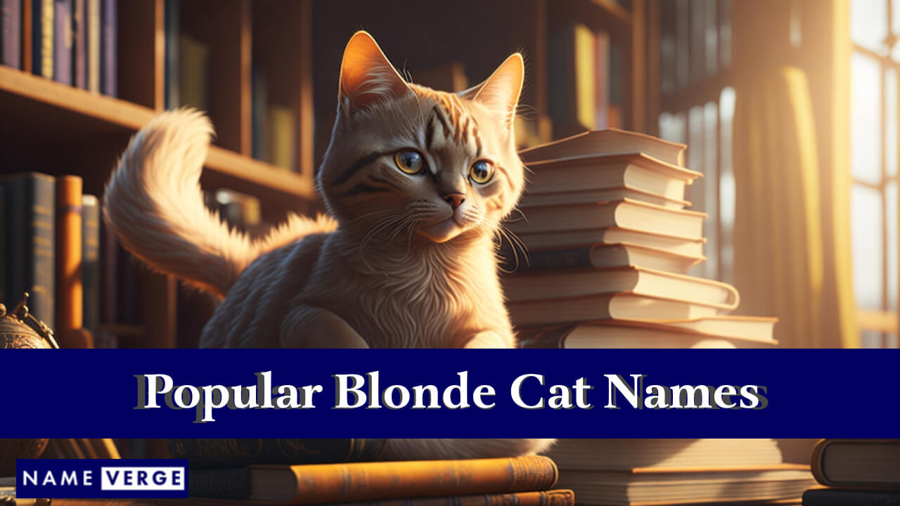Popular Blonde Cat Names