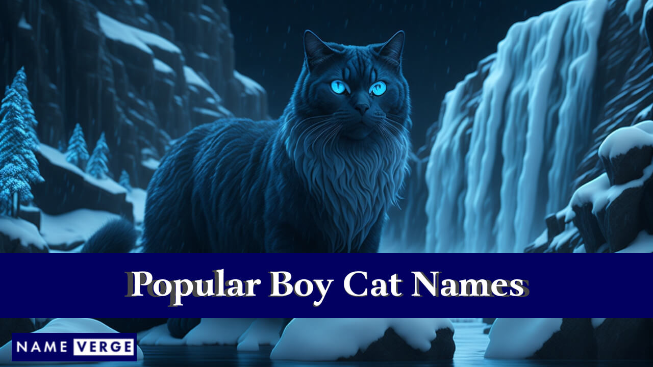 Popular Boy Cat Names