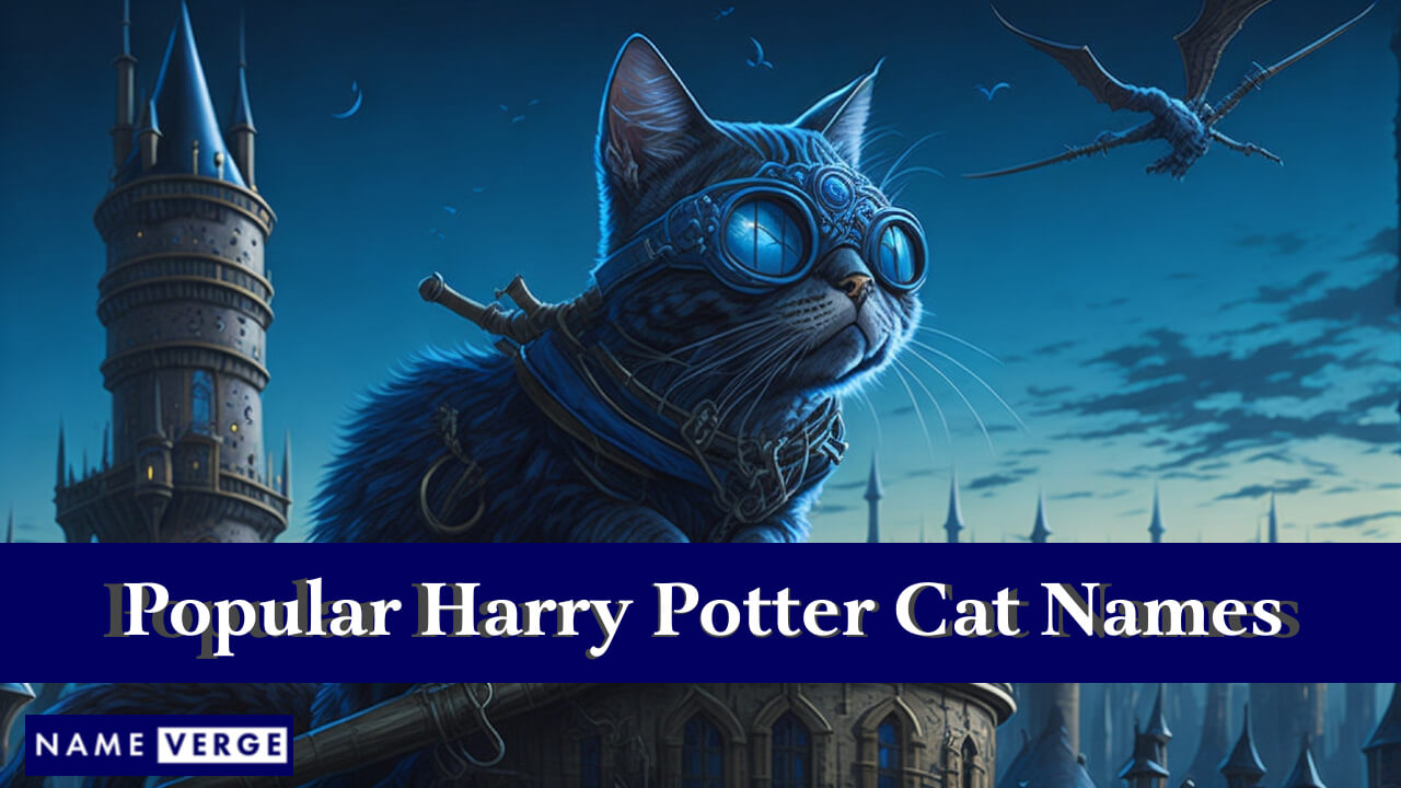 Popular Harry Potter Cat Names