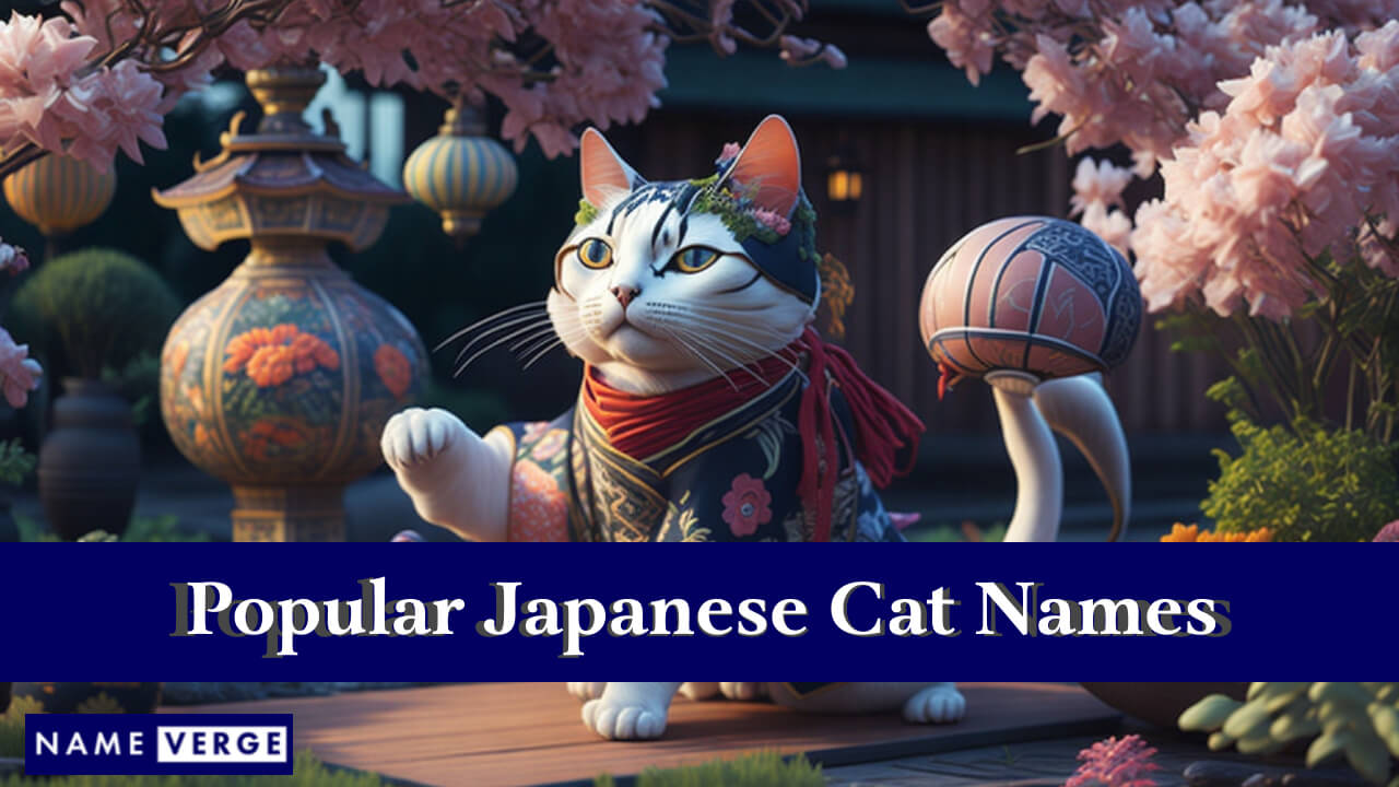 Popular Japanese Cat Names
