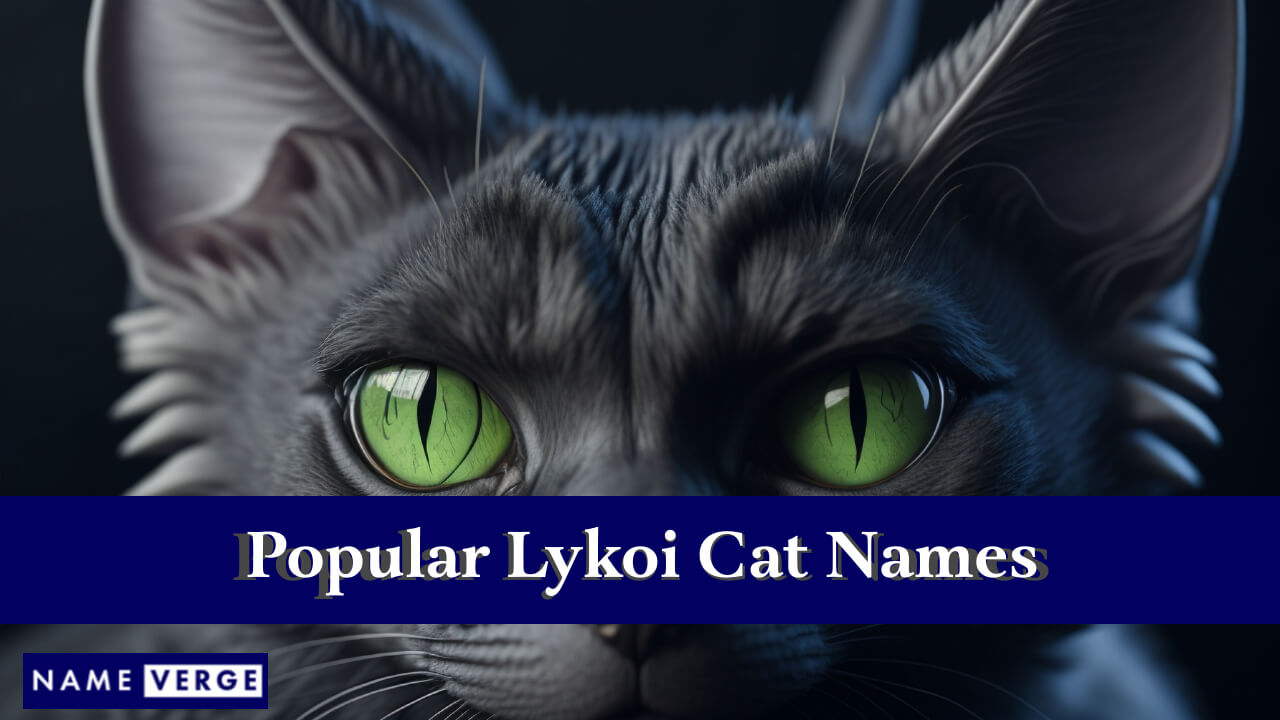 Popular Lykoi Cat Names