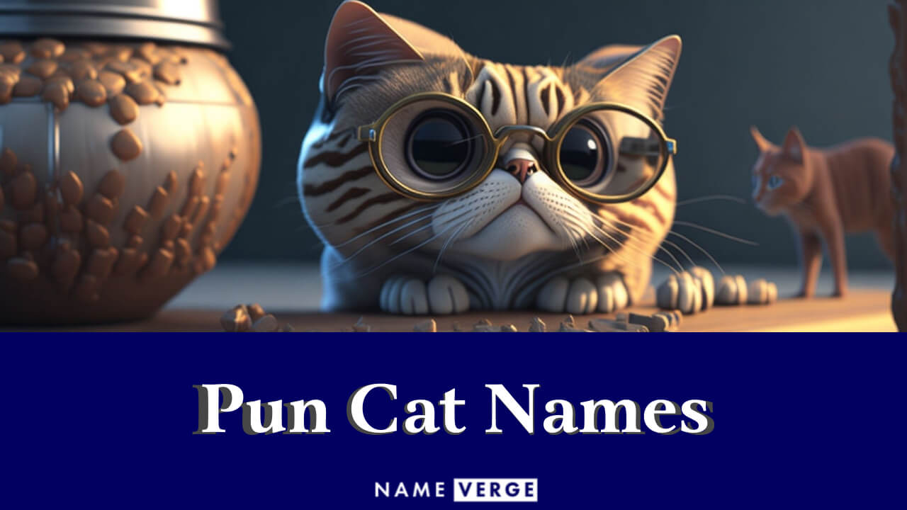 Pun Cat Names: 350 Pawsome Names For Your Puntastic Cat