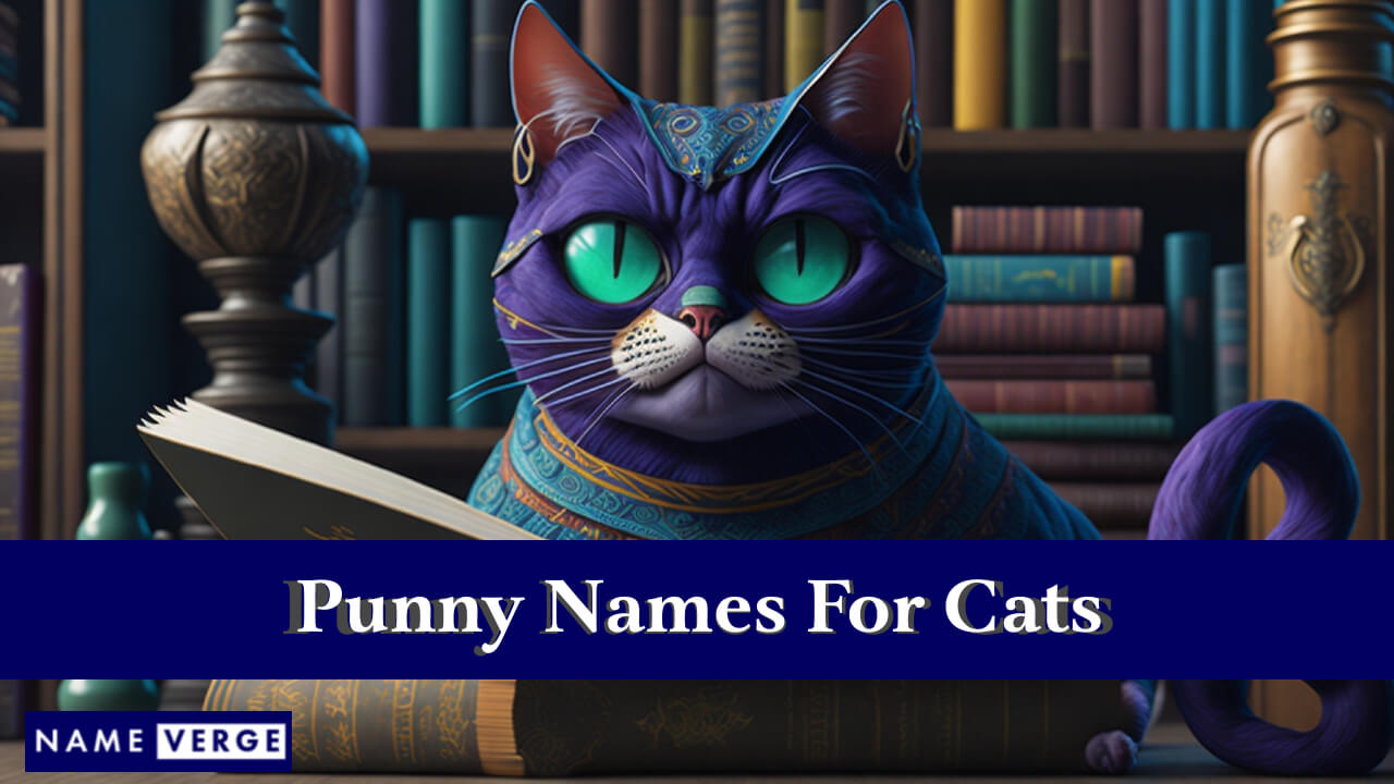 Punny Names For Cats
