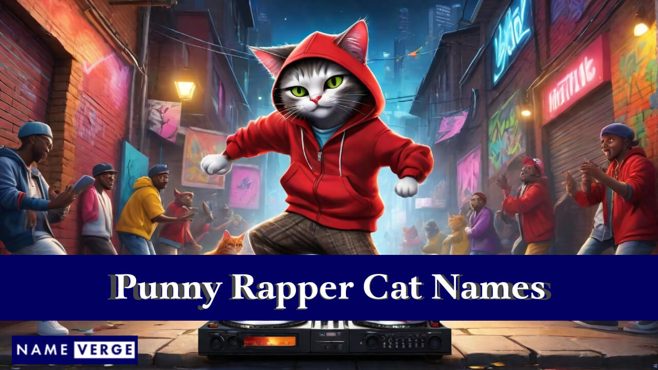 Punny Rapper Cat Names