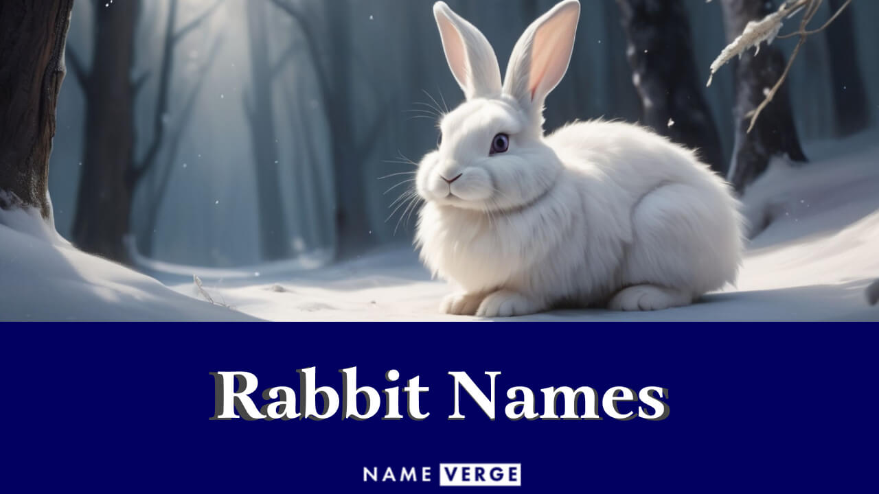 Rabbit Names: 636+ Funny Names For Your Cute Pet Bunny