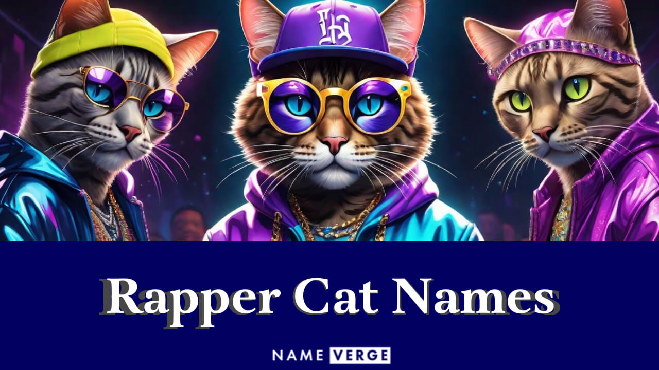 Rapper Cat Names: 333+ Dope Hip Hop-Inspired Name Ideas