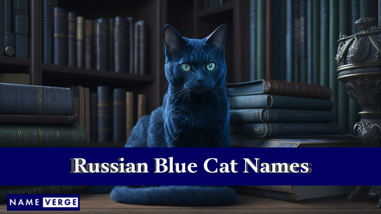 Russian Blue Cat Names