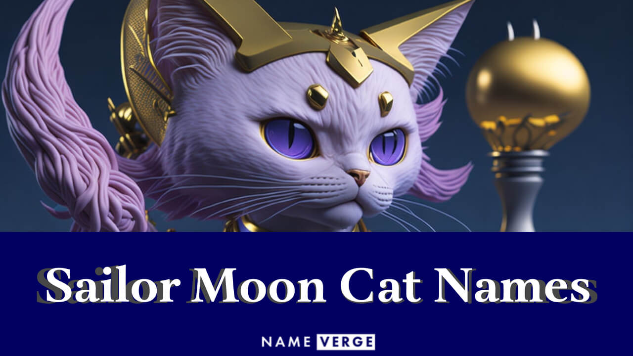 Sailor Moon Cat Names: 166+ Cool Sailor Moon Cat Names
