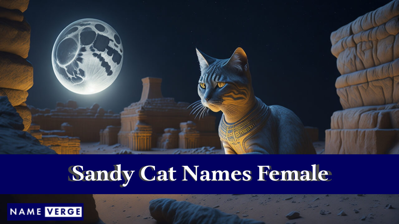 Sandy Cat Names Female