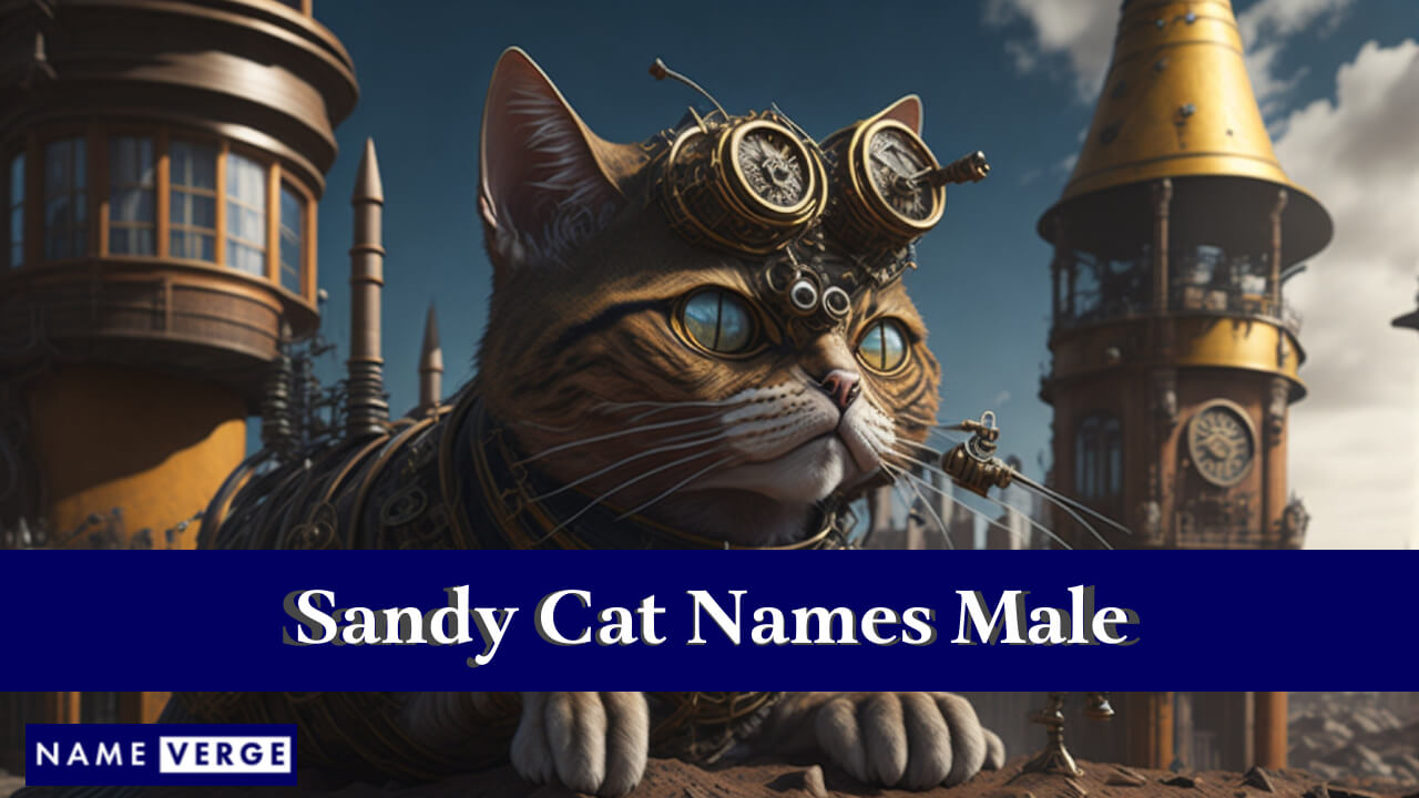 Sandy Cat Names Male