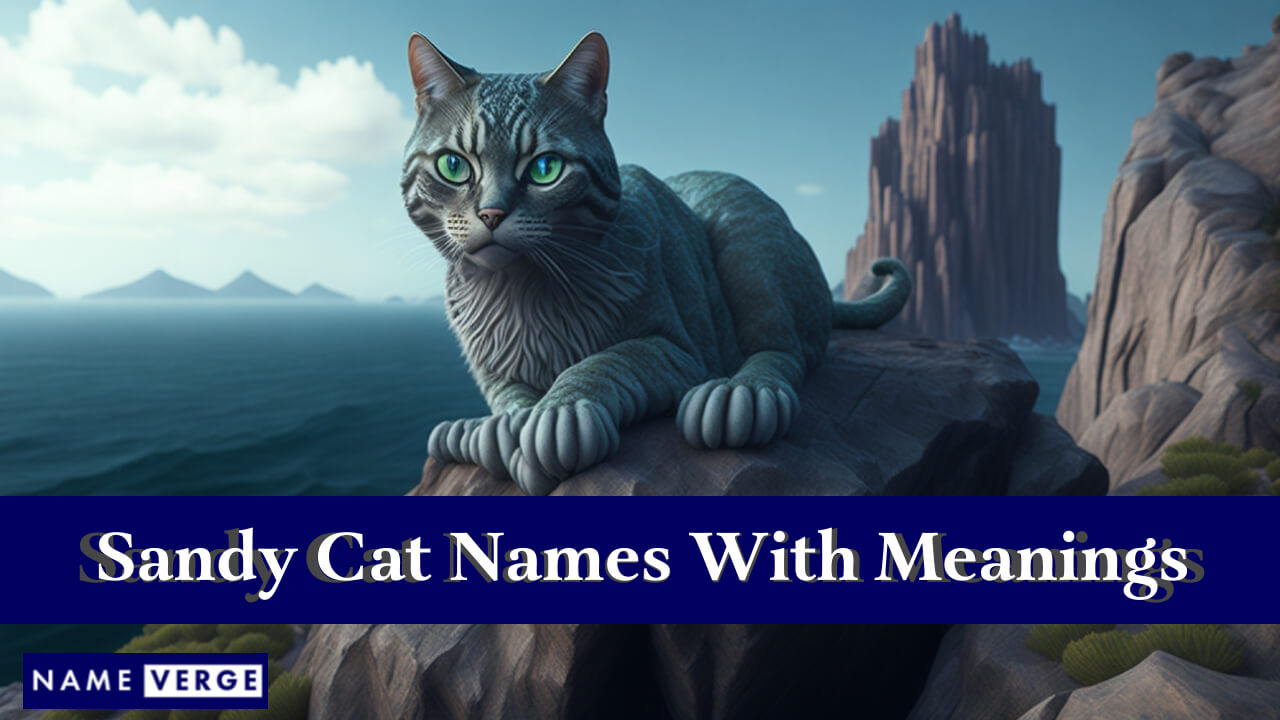 Sandy Cat Names With Meanings