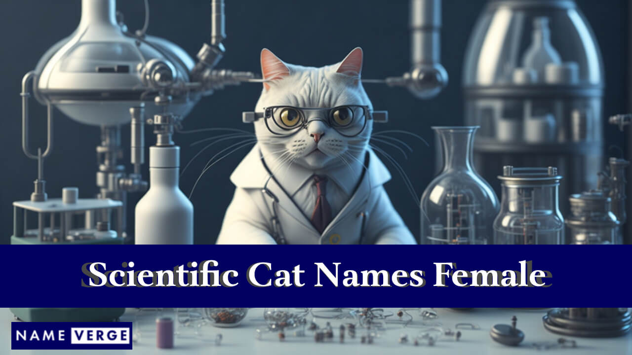 Scientific Cat Names Female