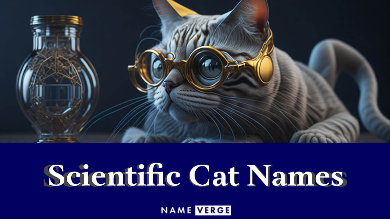Scientific Cat Names: 181+ Geeky Science-Inspired Names