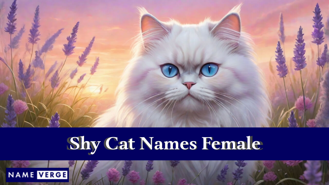 Shy Cat Names Female