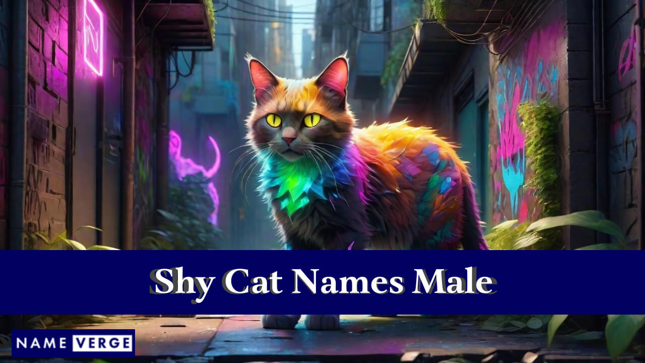 Shy Cat Names Male