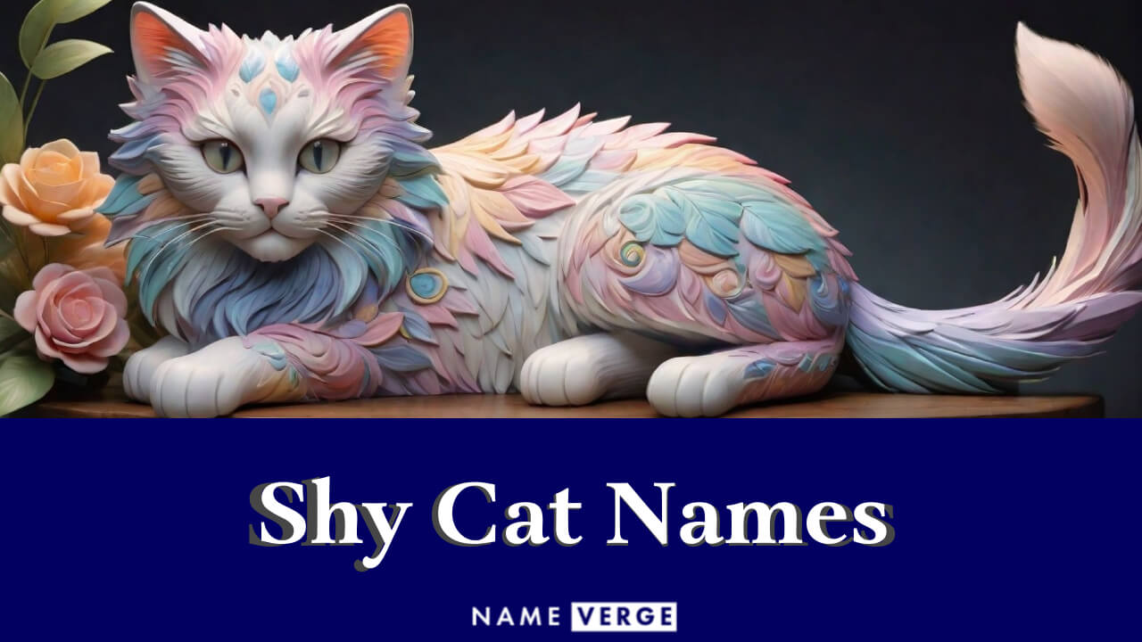 Shy Cat Names: 240 Sweet Names For Your Timid Furriend