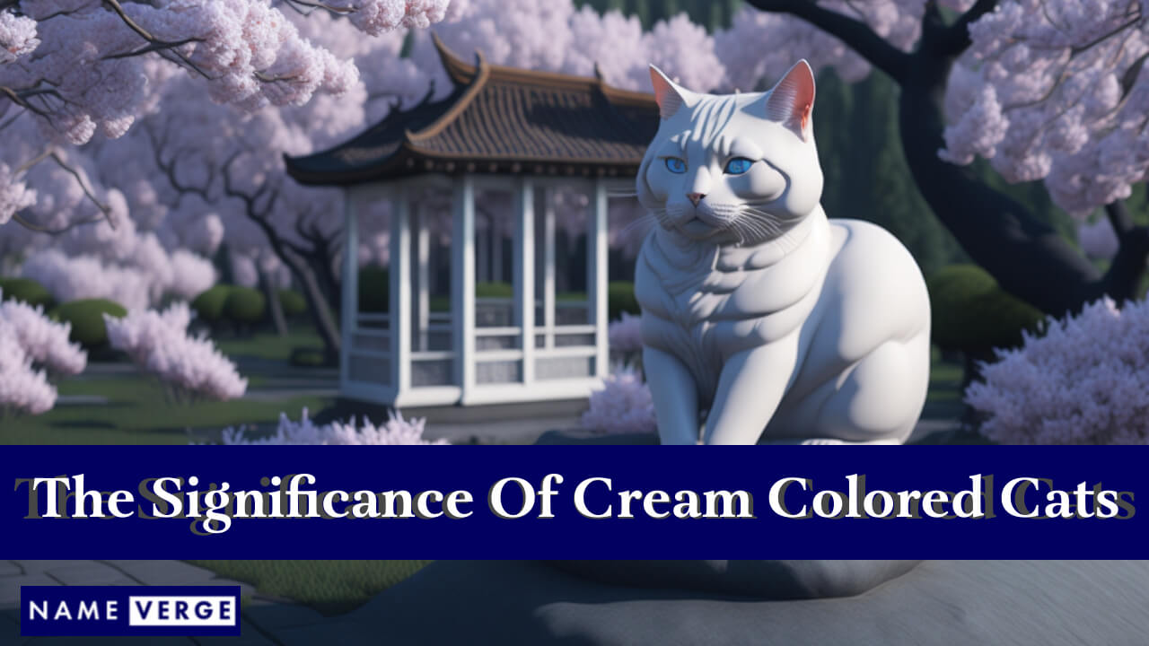The Significance Of Cream-Colored Cats