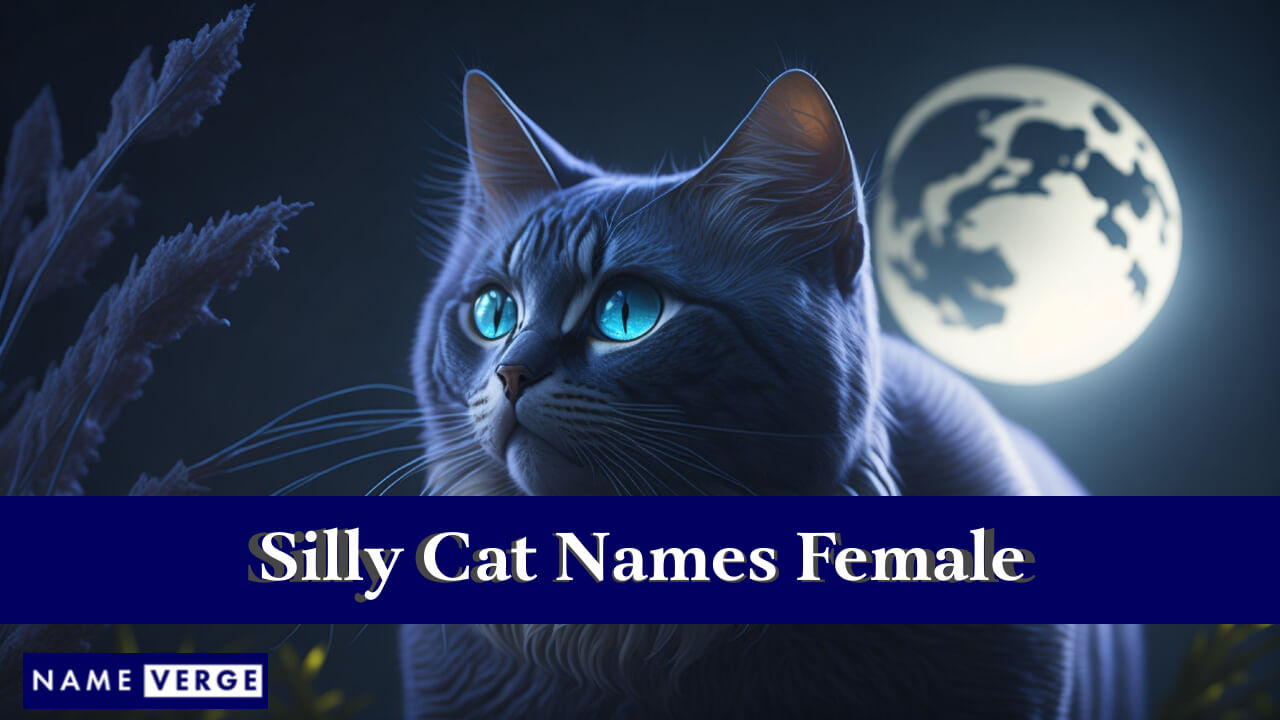 Silly Cat Names Female
