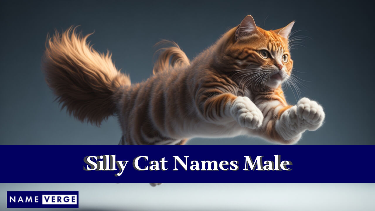 Silly Cat Names Male