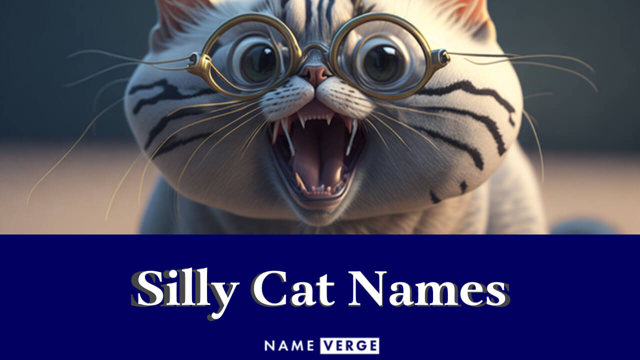 Silly Cat Names: 212+ Cute Names For Silly Cats